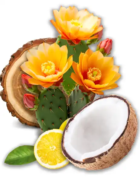 Desert Cactus Blossom Clean Fragrance