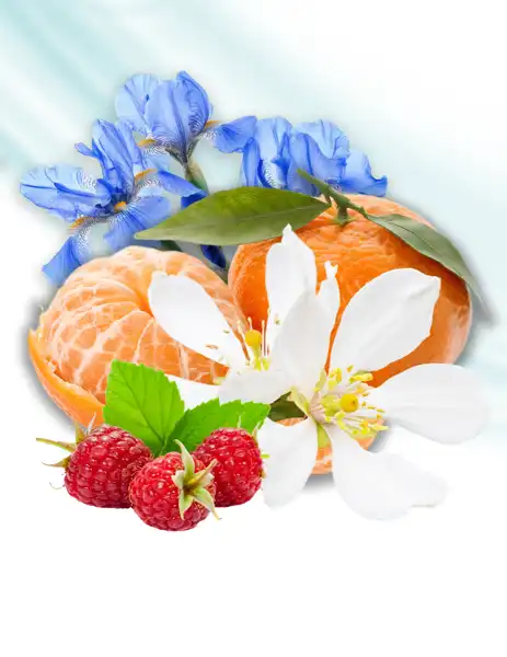 Fresh Awakening Clean Fragrance