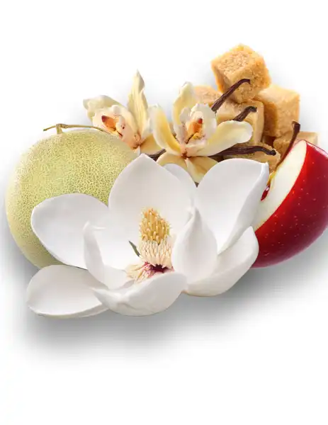 Magnolia Dreams Clean Fragrance