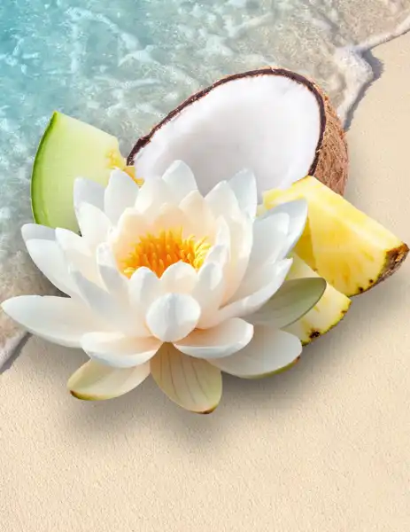 Pebble Beach Clean Fragrance